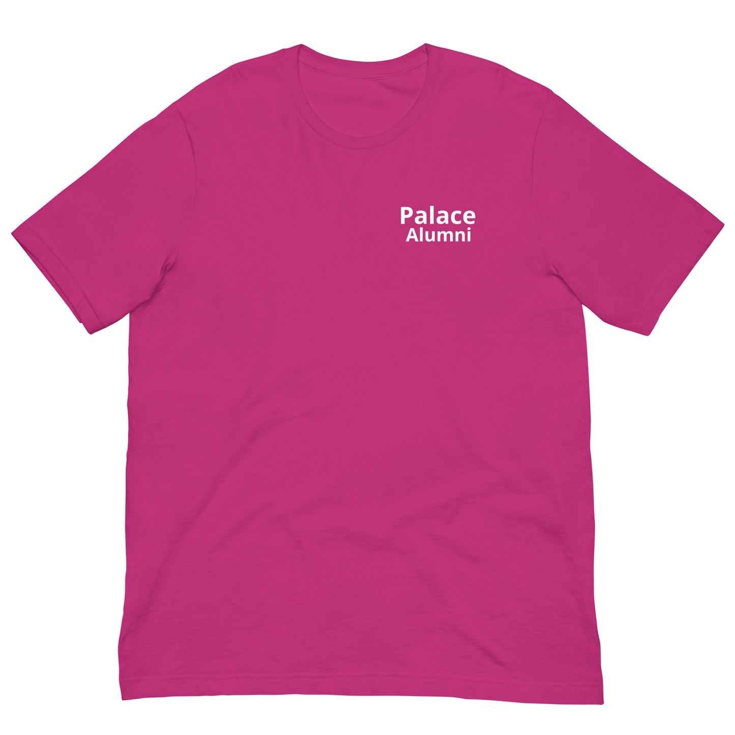 Palace Alumni Unisex t-shirt