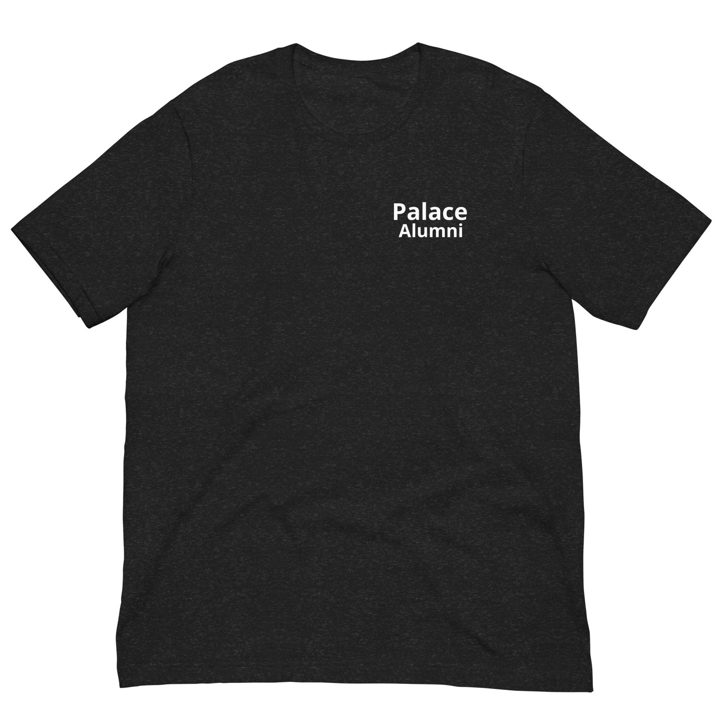 Palace Alumni Unisex t-shirt